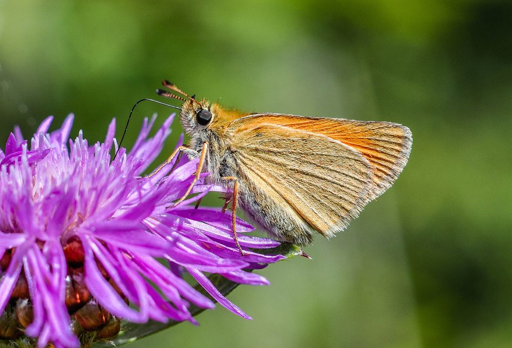 Photograph by Олеся zme