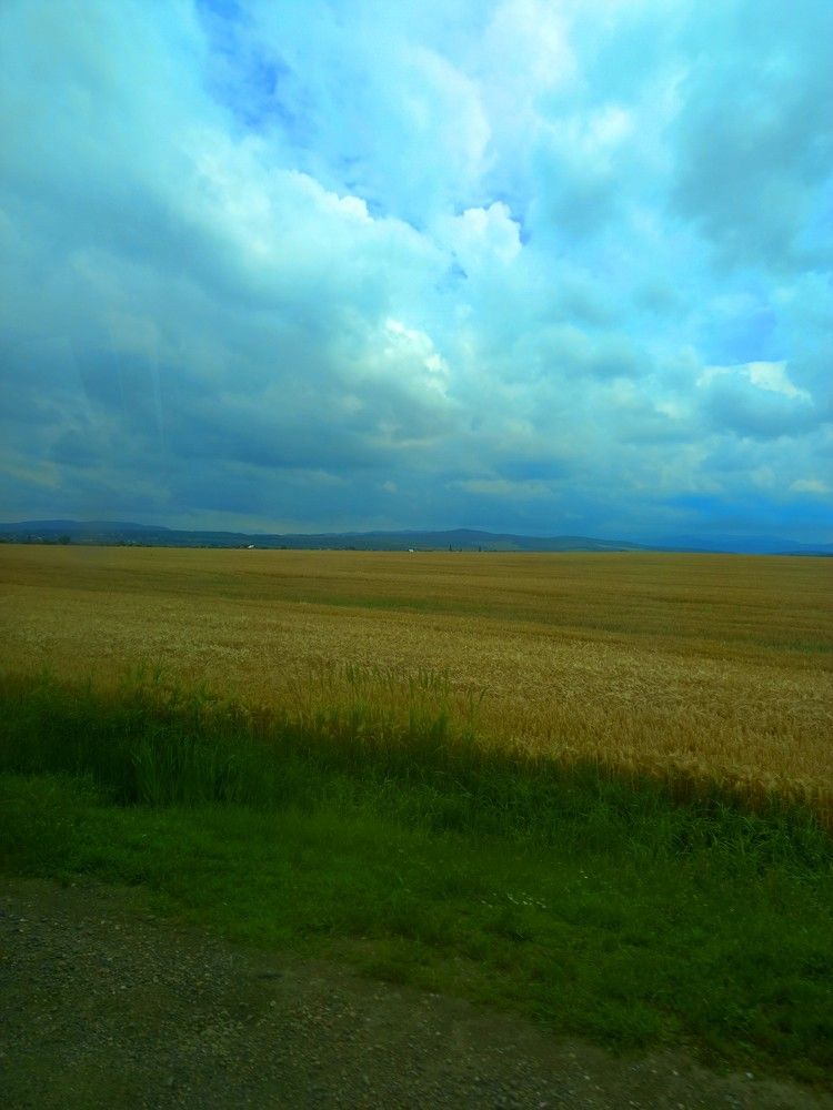 Photograph by Ольга Шевцова