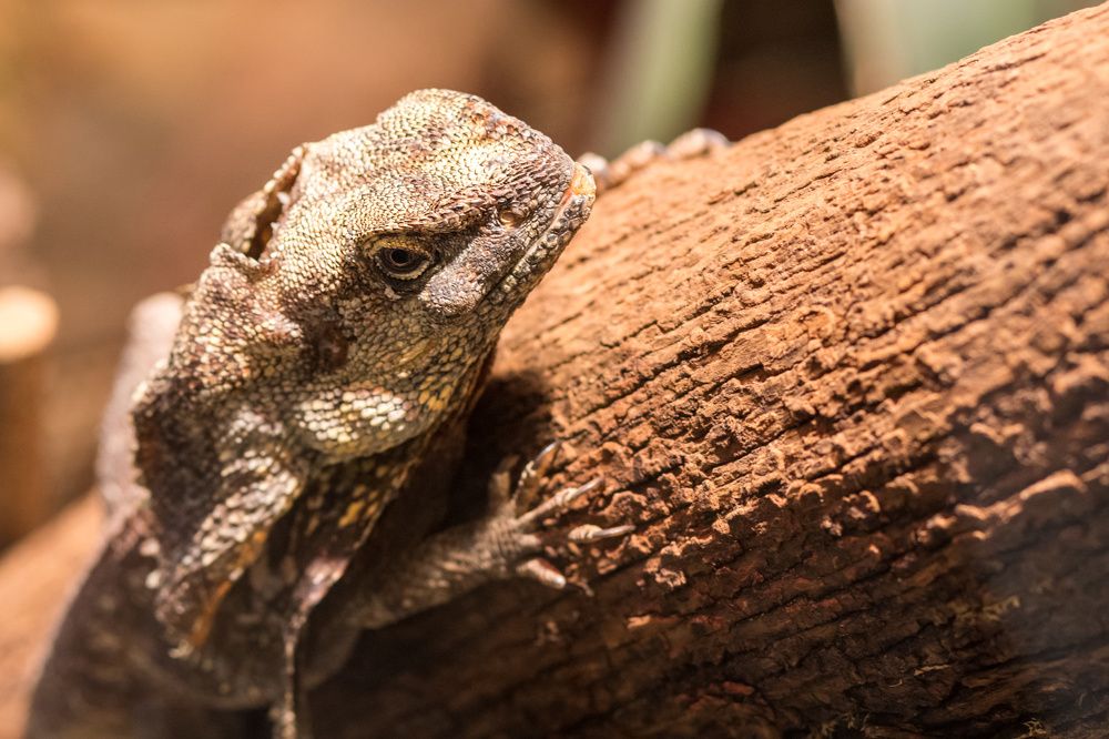 Photograph by Anatoli Weingart