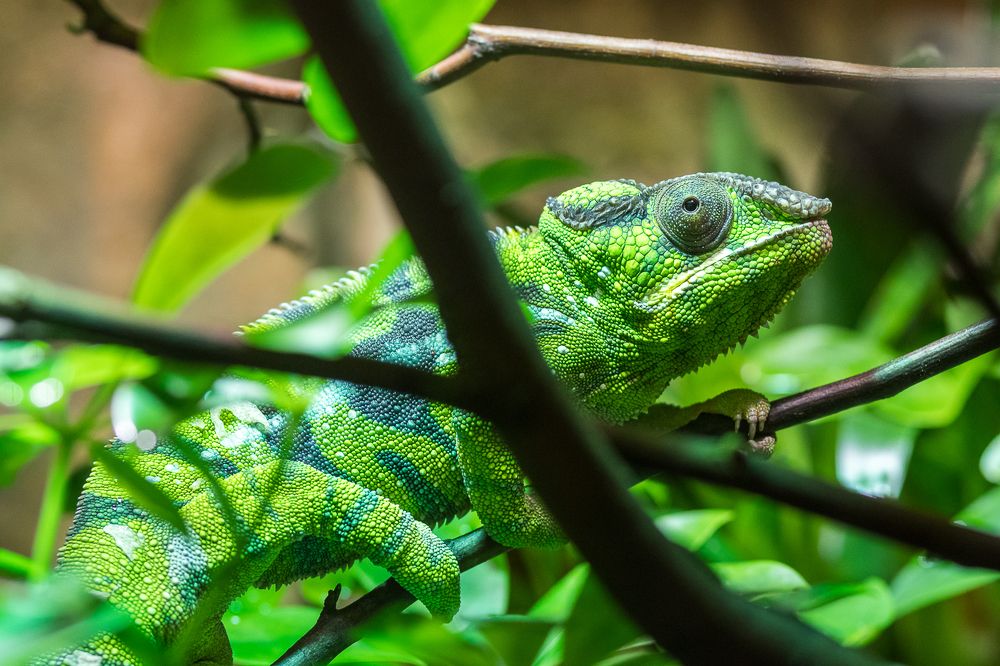 Photograph by Anatoli Weingart