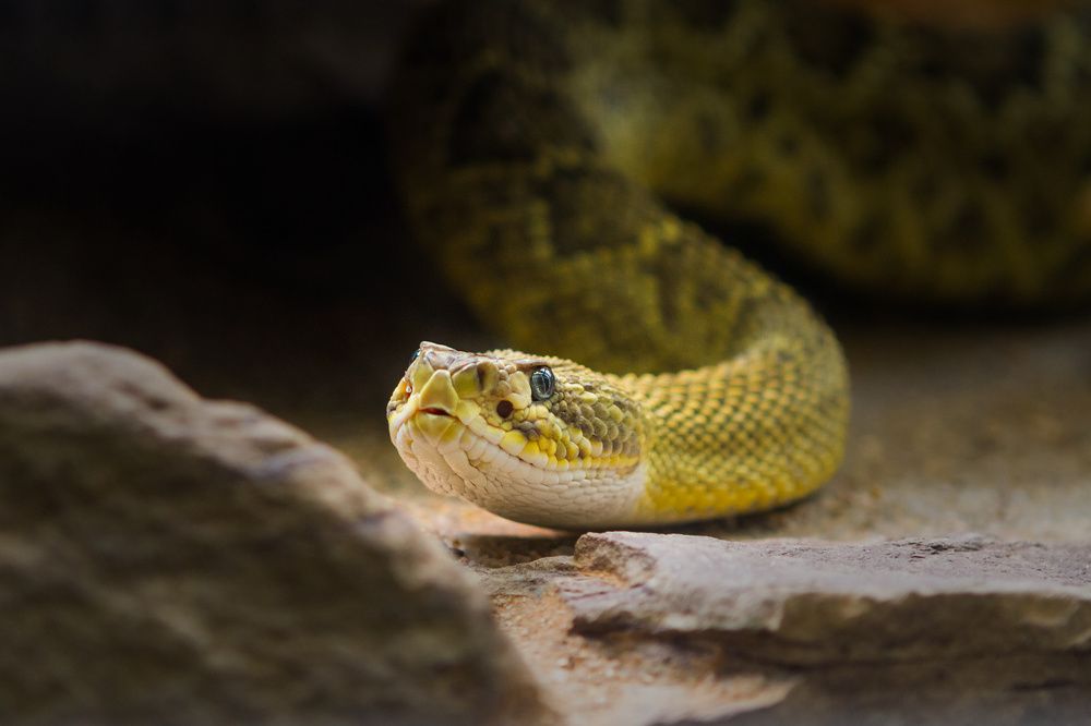 Photograph by Anatoli Weingart