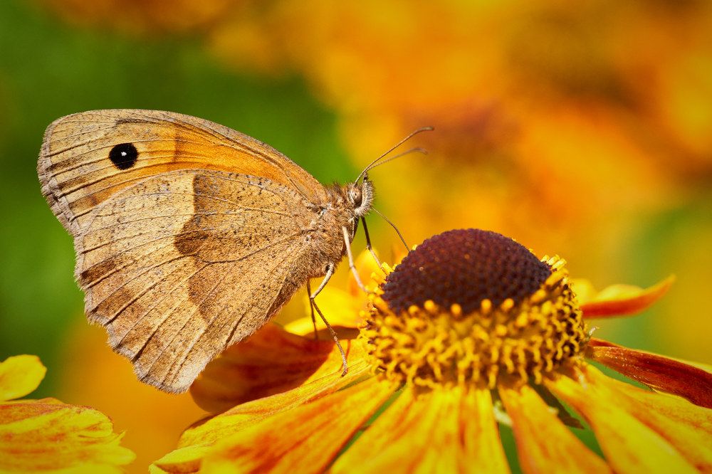 Photograph by Anatoli Weingart