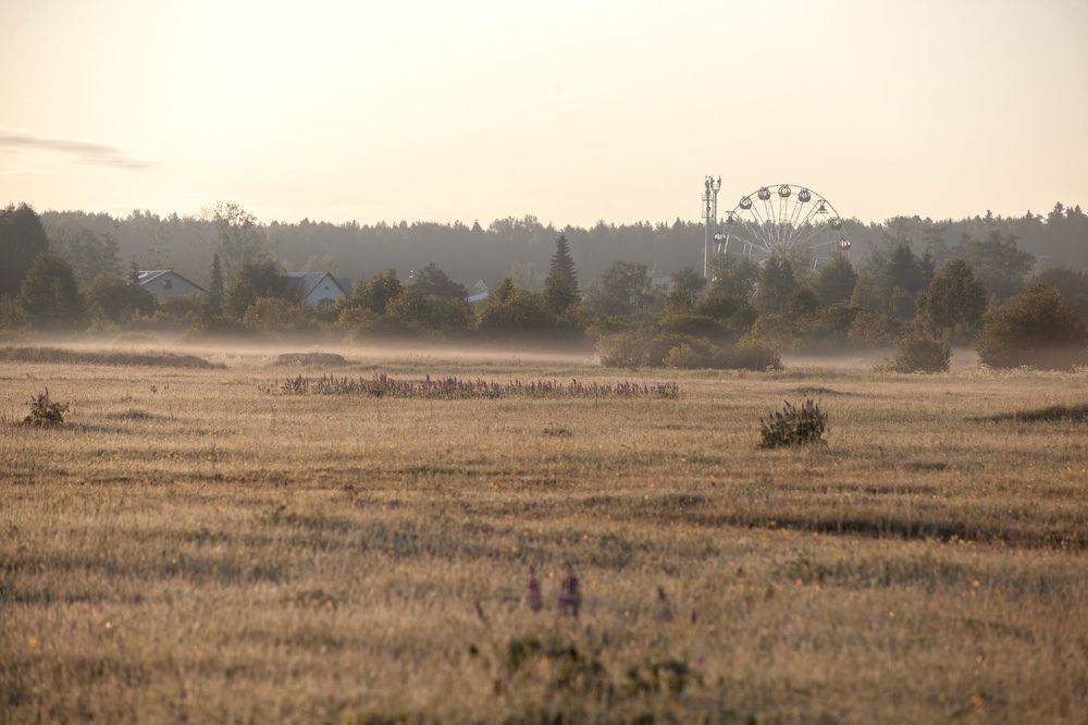 Photograph by Людмила Новосёлова