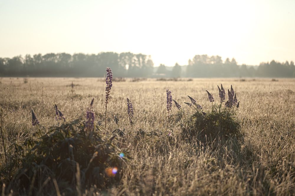 Photograph by Людмила Новосёлова