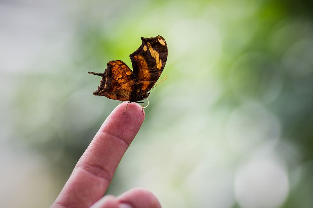 Photograph by Anatoli Weingart