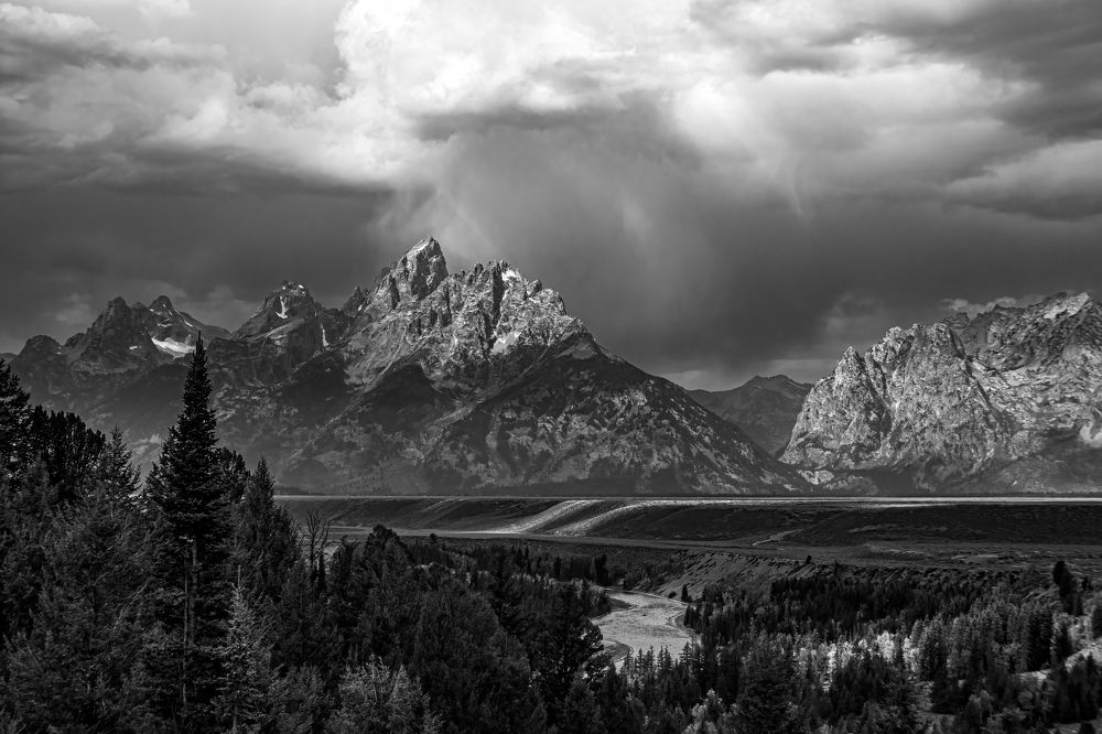 Фотография автора Brian Kinghorn