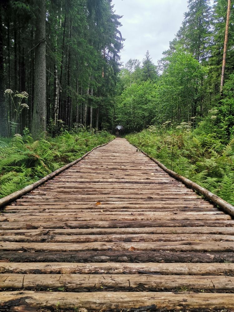 Photograph by Наталья Миролюбова