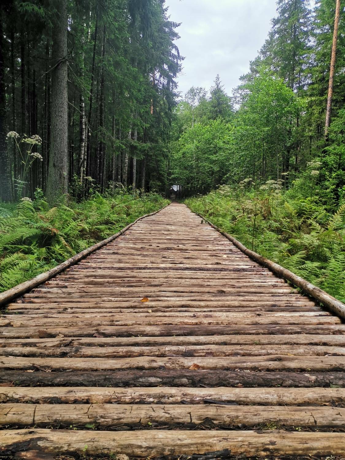 Photo #9218060