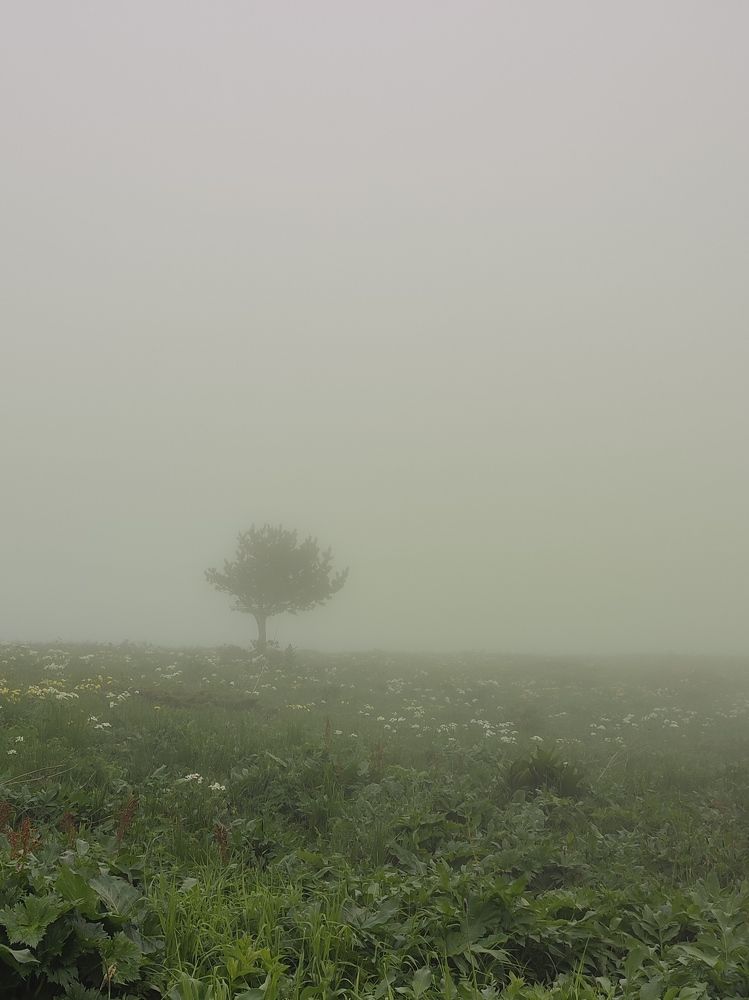 Photograph by Татьяна Долгушева