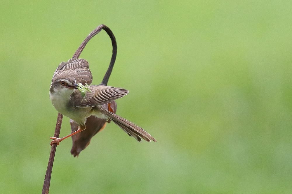Photograph by Xuan Quyen Nguyen