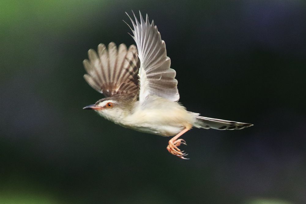 Photograph by Xuan Quyen Nguyen