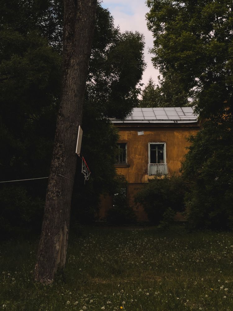 Photograph by Алиса Нежинская