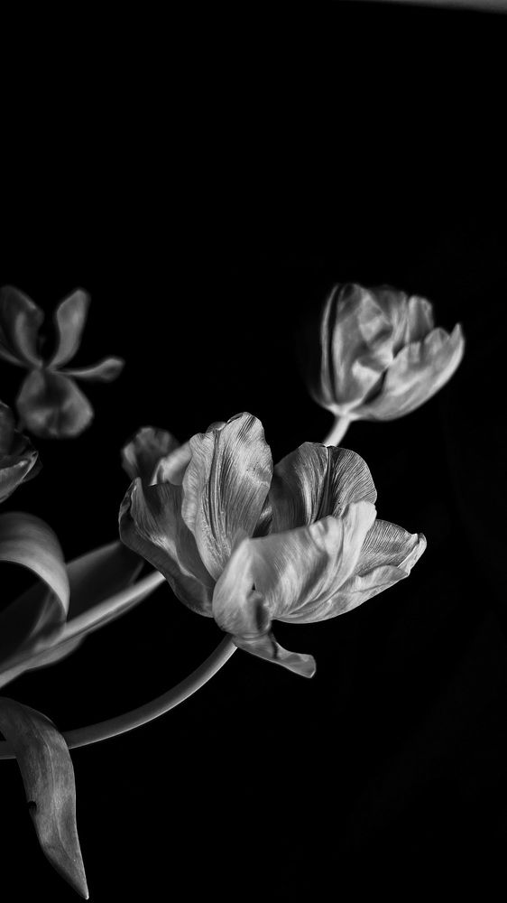 Photograph by Алиса Нежинская