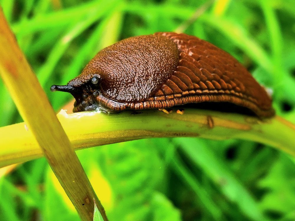 Photograph by Mahmoud Ahmadi