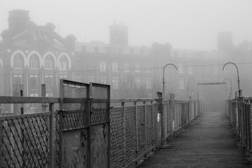 Photograph by Vasily Prokhorov