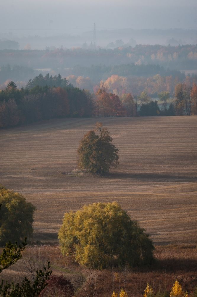 Photograph by Greg Noakes