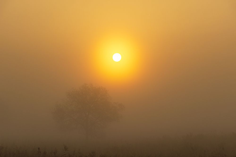 Photograph by Sergey Tsubanov