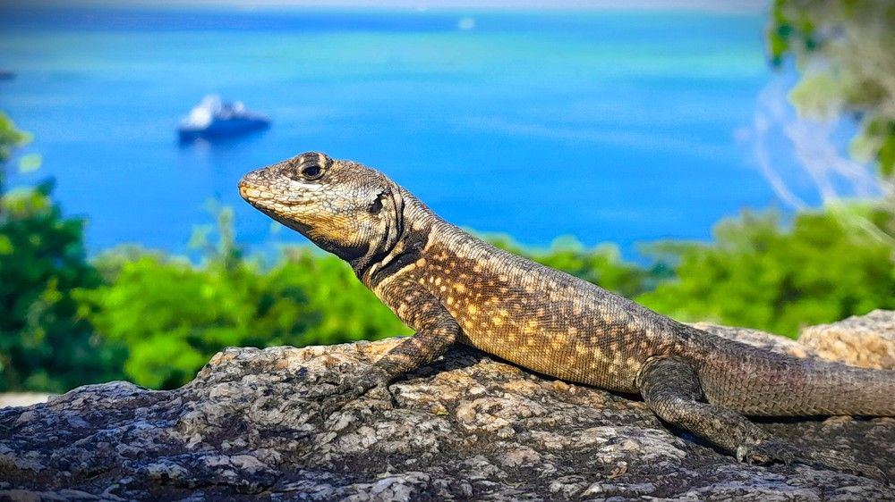 Photograph by Marie G