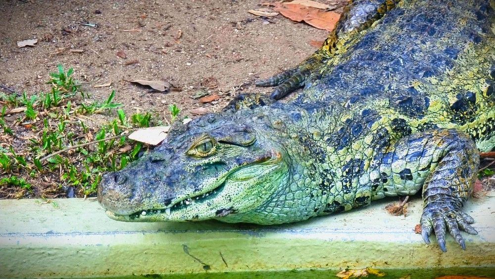 Photograph by Marie G