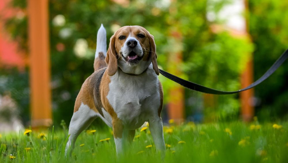 Photograph by Михаил Петрик