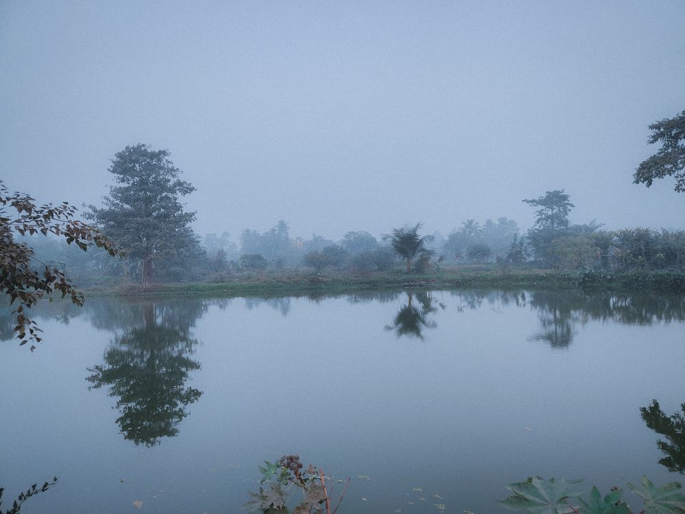 Фотография автора ANKIT GHOSH