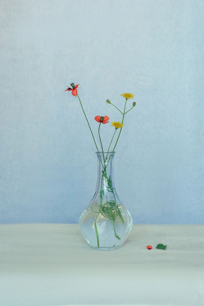 Photograph by Наталия Шляпина