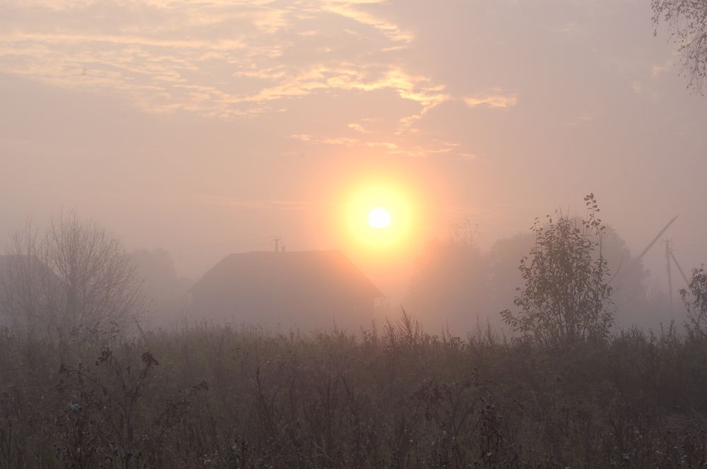 Фотография автора Олег Анатольевич Загорулько