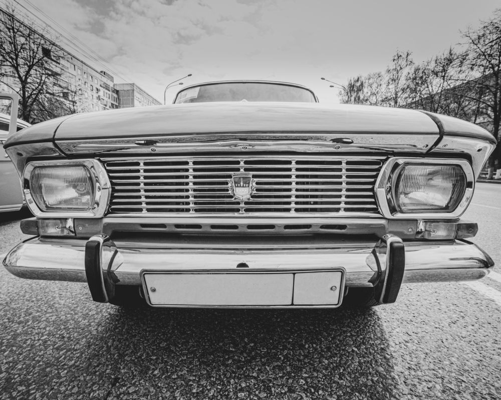 Фотография автора NIKOLAY KALININ