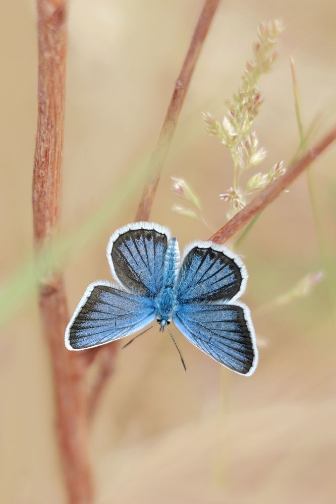 Photograph by Воинкова Ирина