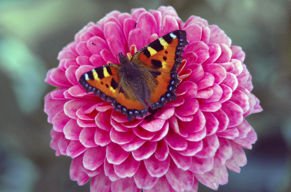 Photograph by Алексей Патлах