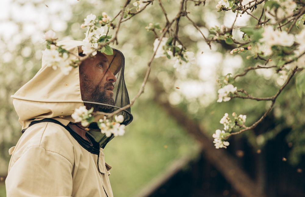 Photograph by Наталья