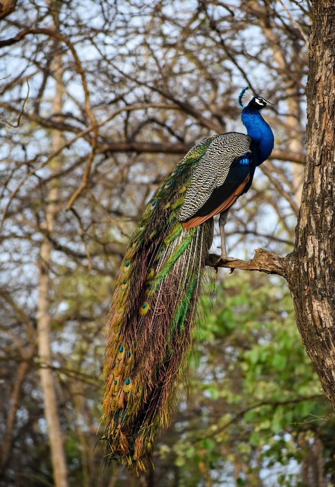 Photograph by Kriti Aggarwal