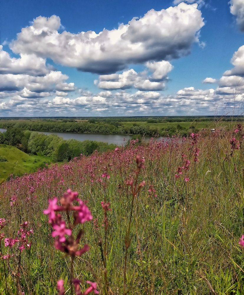 Photograph by Ольга Мартьянова