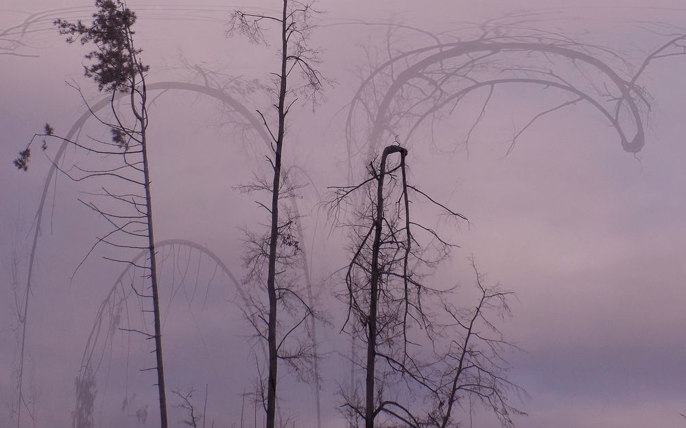 Photograph by Серега Вартман