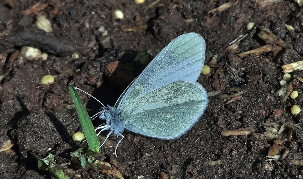 Фотография автора Ольга Кунакова