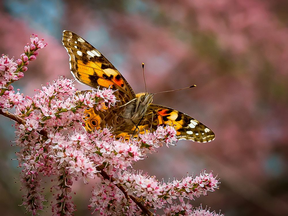 Фотография автора Андрей Евтеев