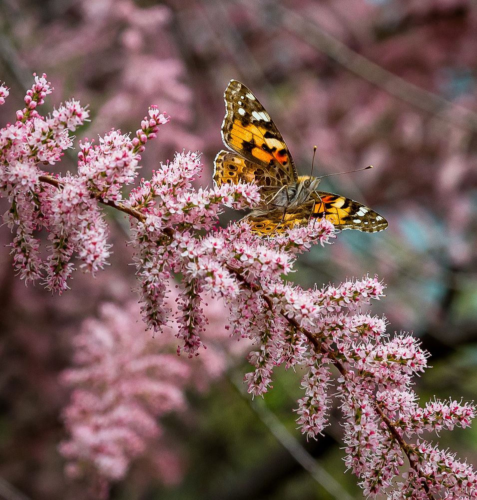 Photograph by Андрей Евтеев