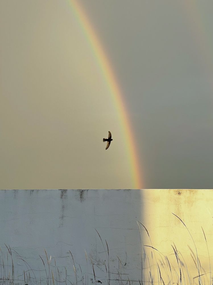 Photograph by Krid Karnsomdee