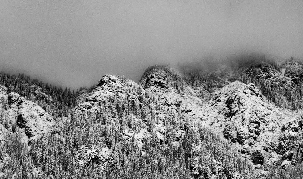 Photograph by Liliana Negoi