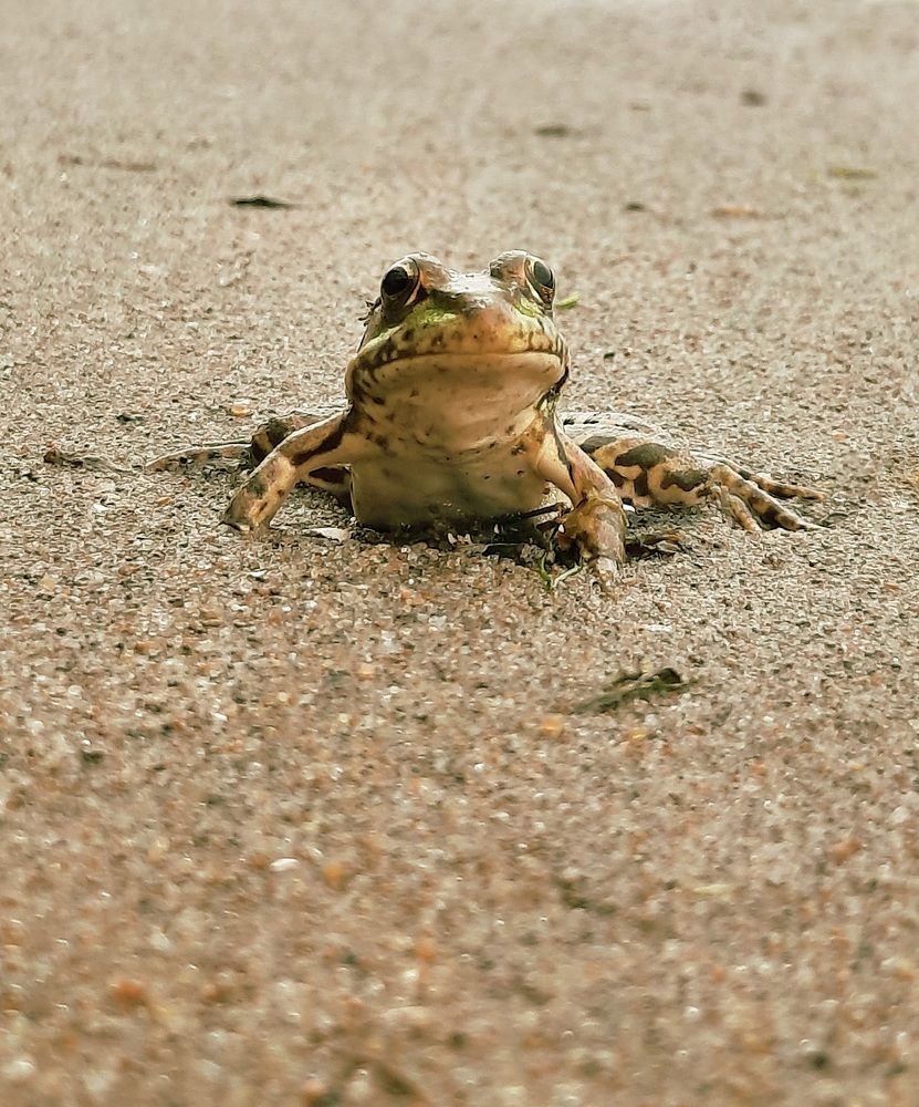 Фотография автора Ольга Кунакова