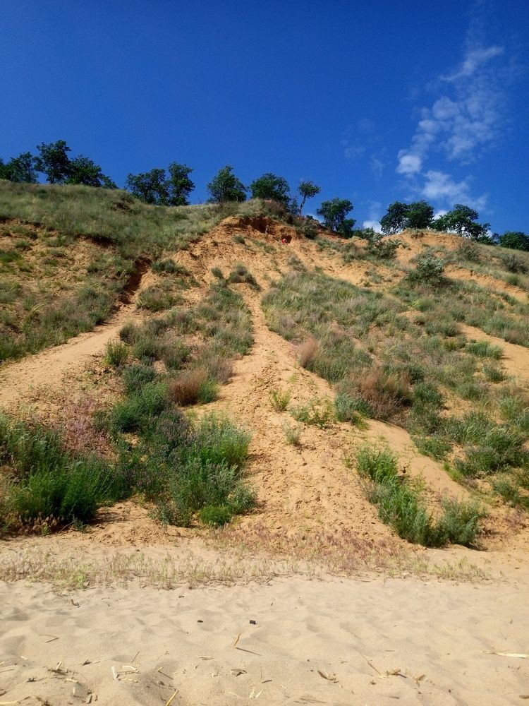 Photograph by Елизавета Мишина