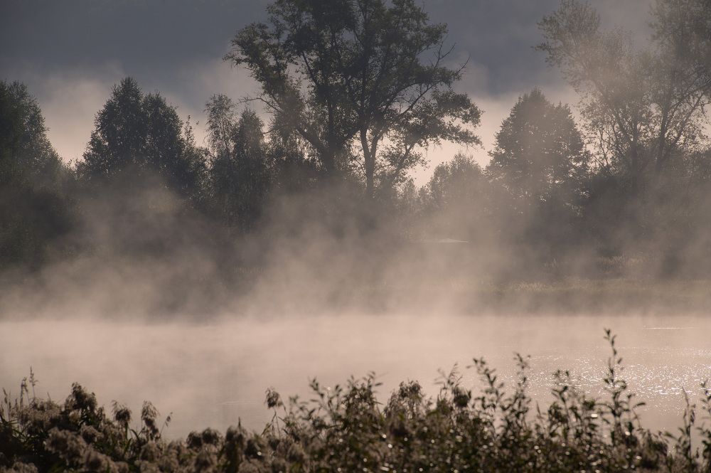 Photograph by Олег Харнаев