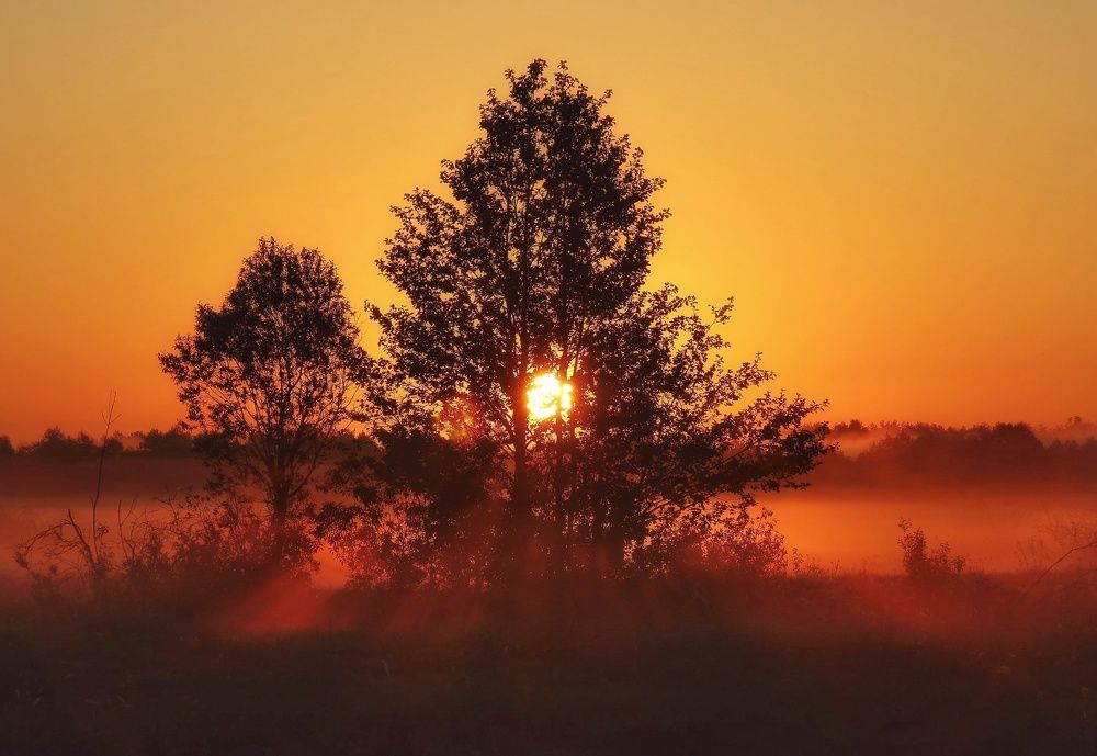 Photograph by 