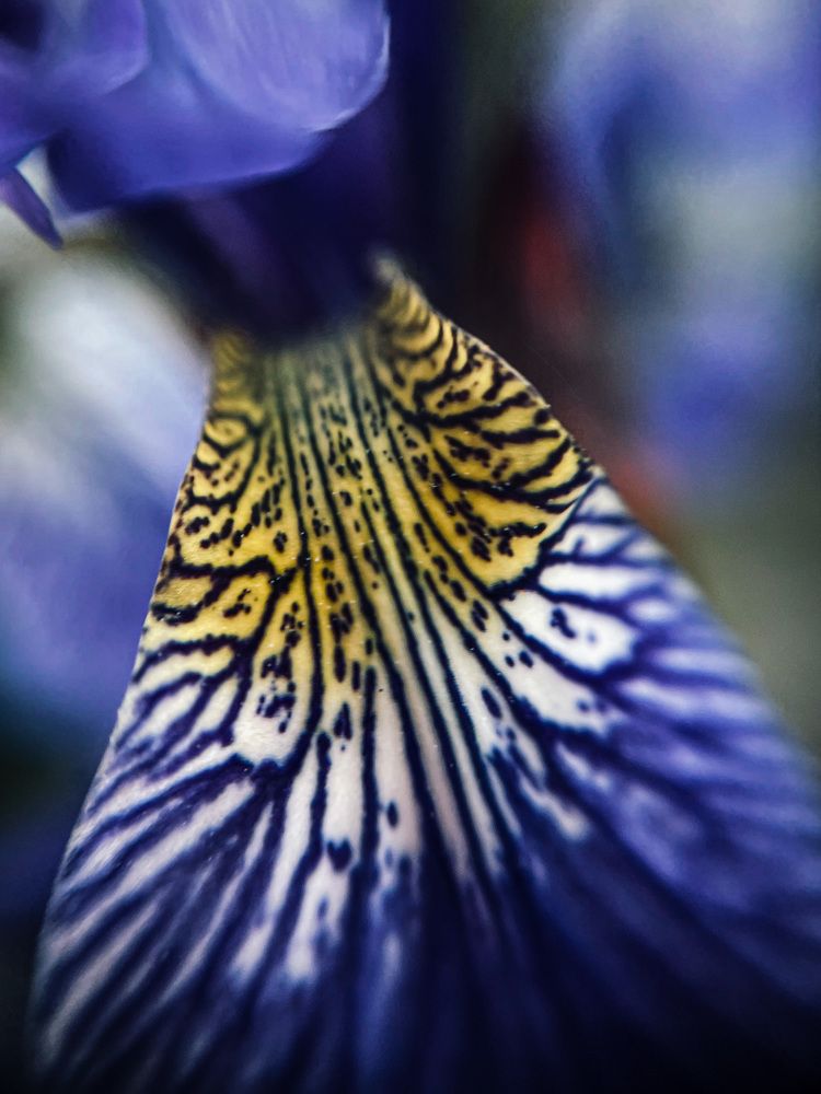 Photograph by Марина Тверитнева