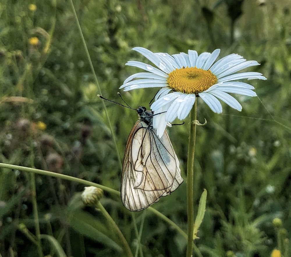 Photograph by Евгения Д