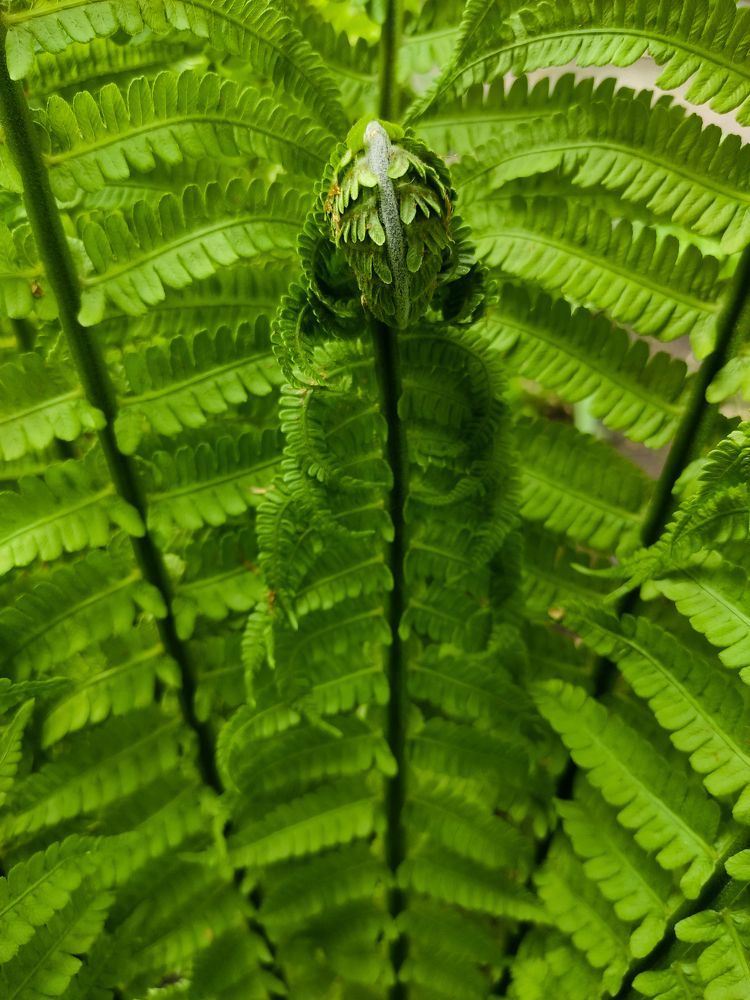 Photograph by Николай Захаров