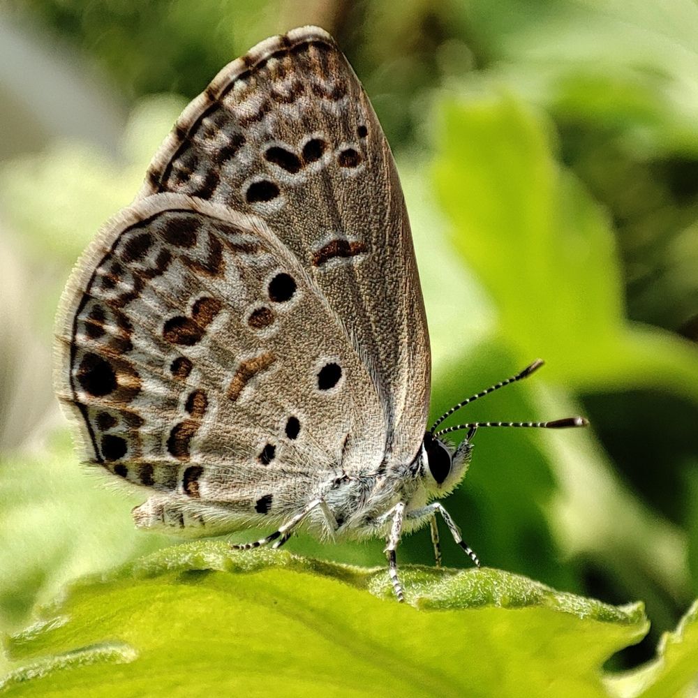 Photograph by Shreya Roy