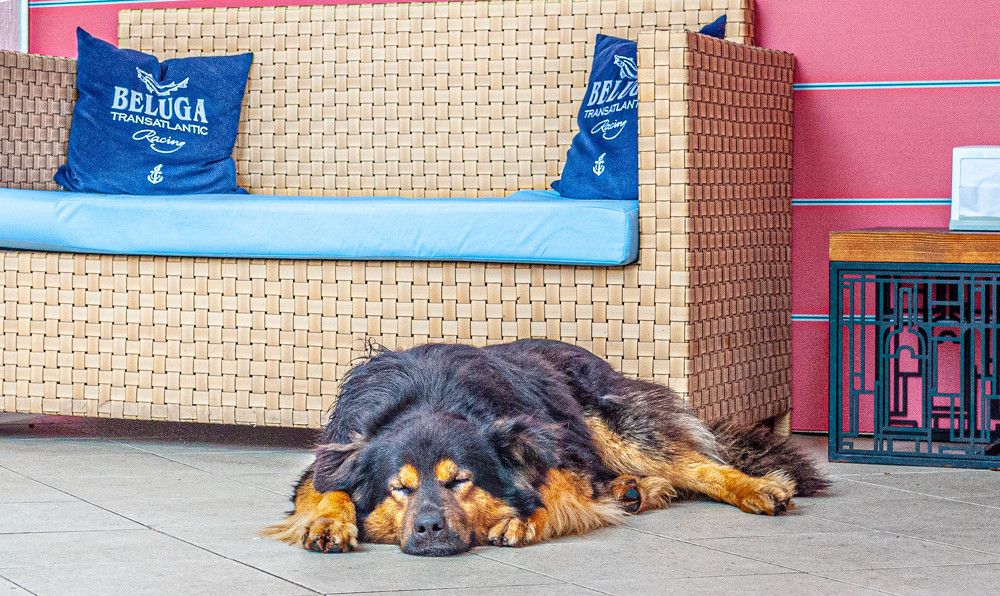 Photograph by Алекскандр Фатеев