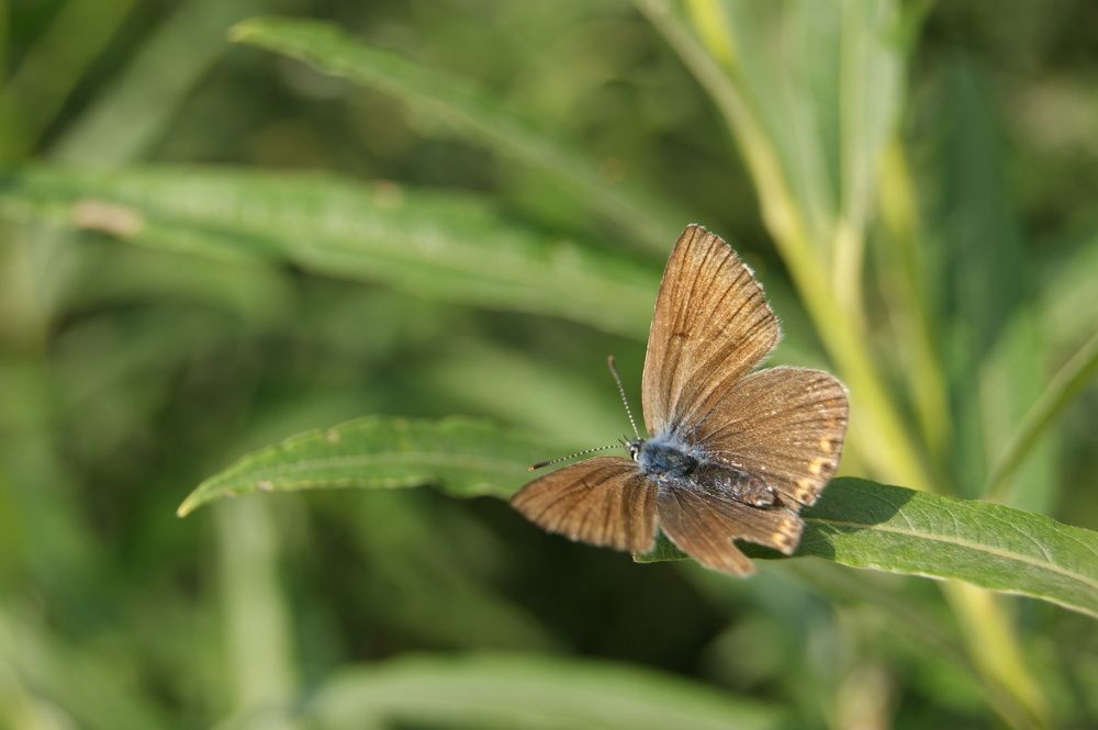 Photograph by Елена