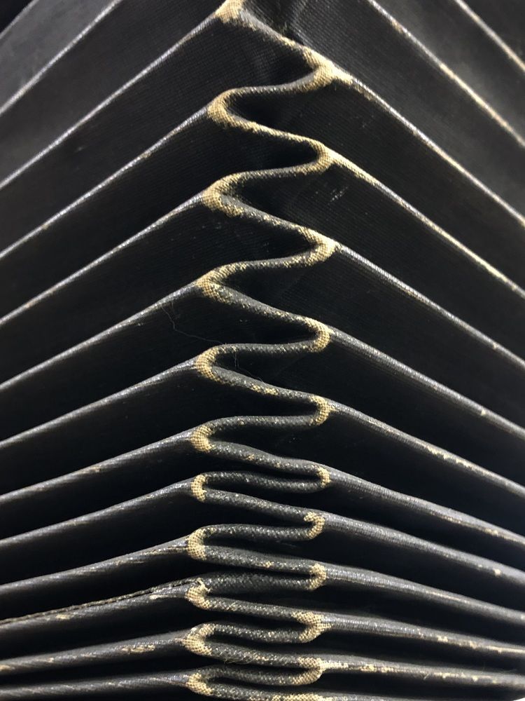 Photograph by Мария Бессмертная